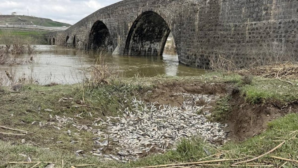 Amed de bi hezaran maseyî merdî