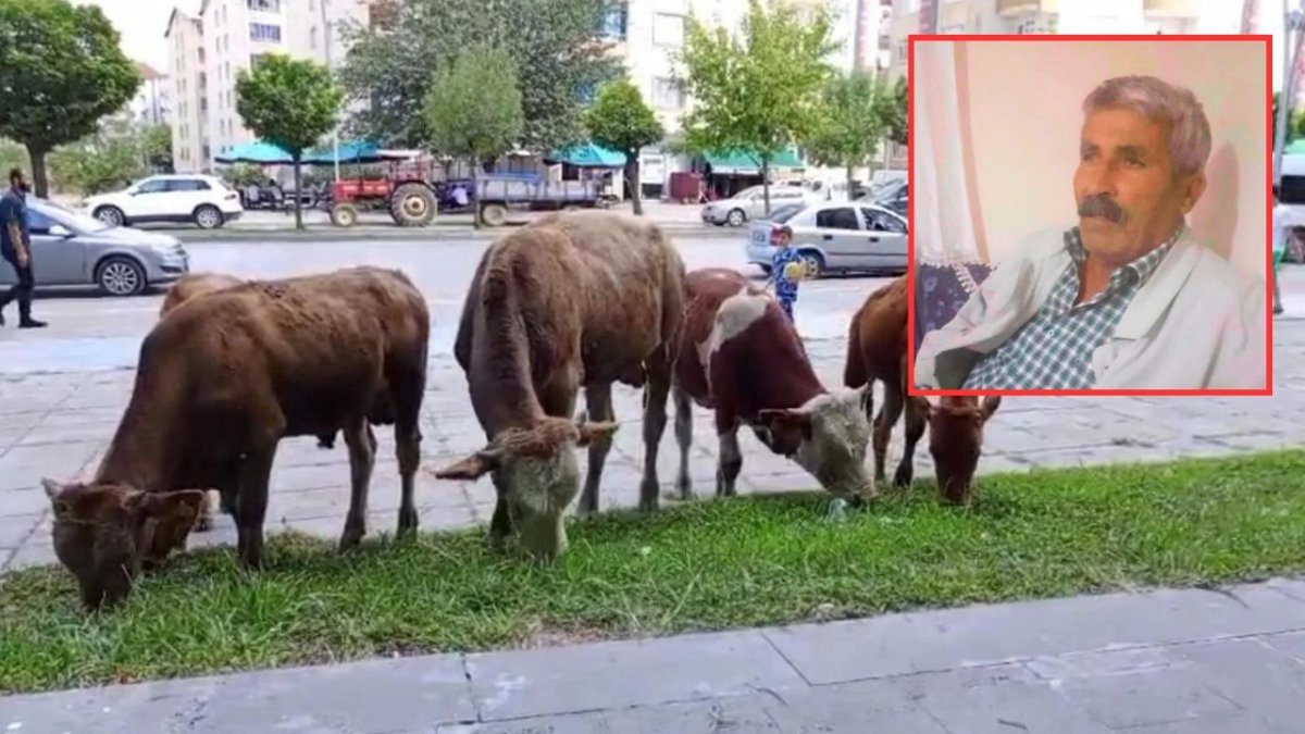 Mangaya xo dima şi, binê wesayîtî de mend, merd