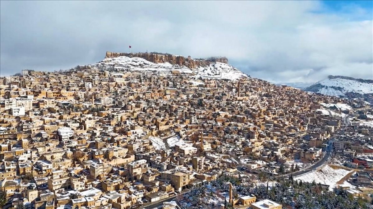 8 roj in ji ciwanê 17 salî tu agahî tune ye.
