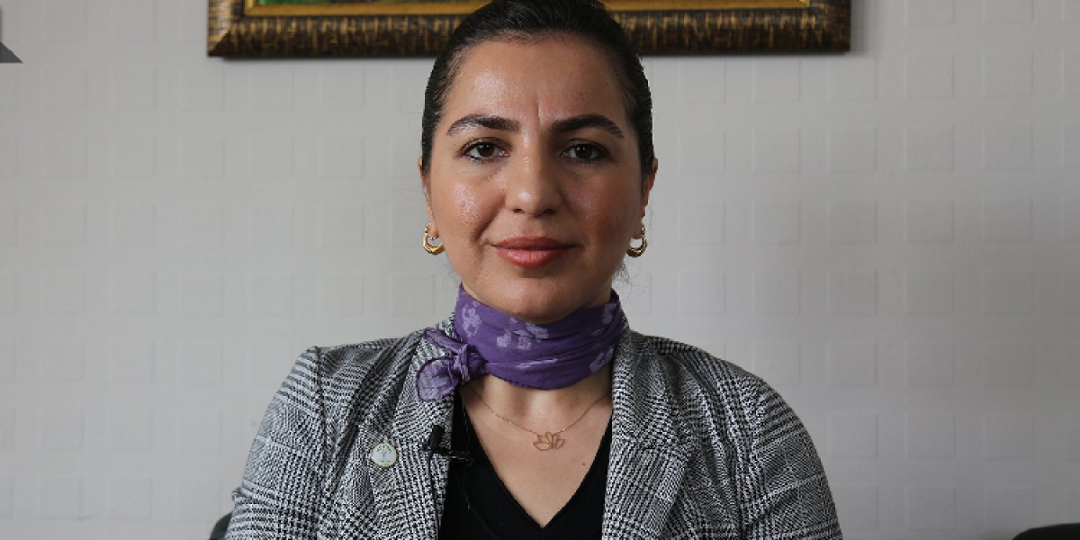 Parlamentera DEMê: Kurdî wekî Erebî tên tomarkirin