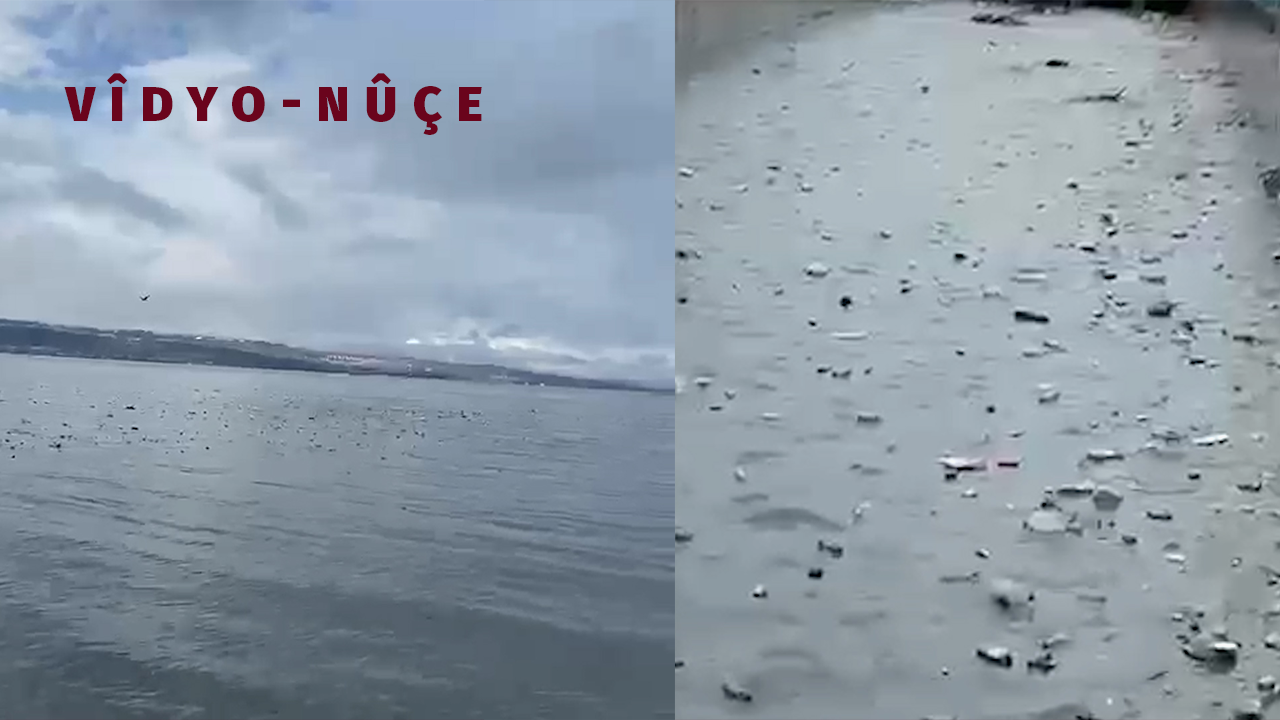 Rêyên Wan û Colemêrgê têk çûn