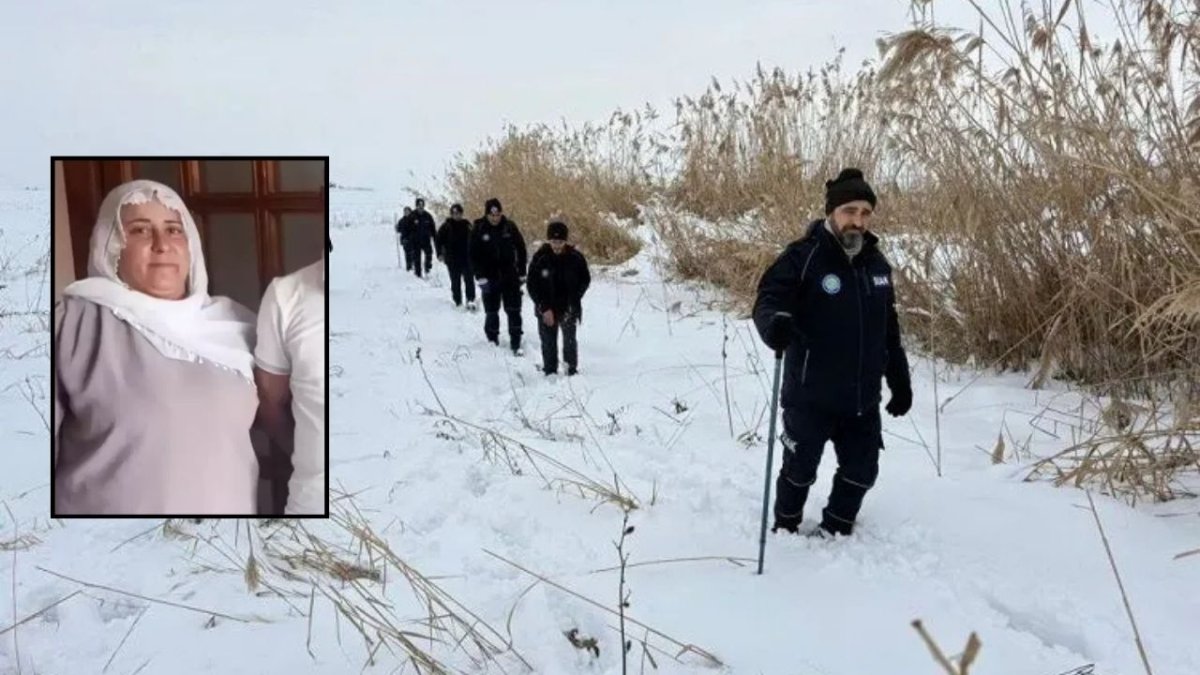Amed de vîndî bibî: Aye ra 3 rojî yo ke xebere çîn a