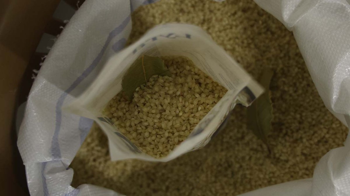 Ji Amedê ber bi cîhanê ve: Birincê Qerejdaxê sînoran derbas dike