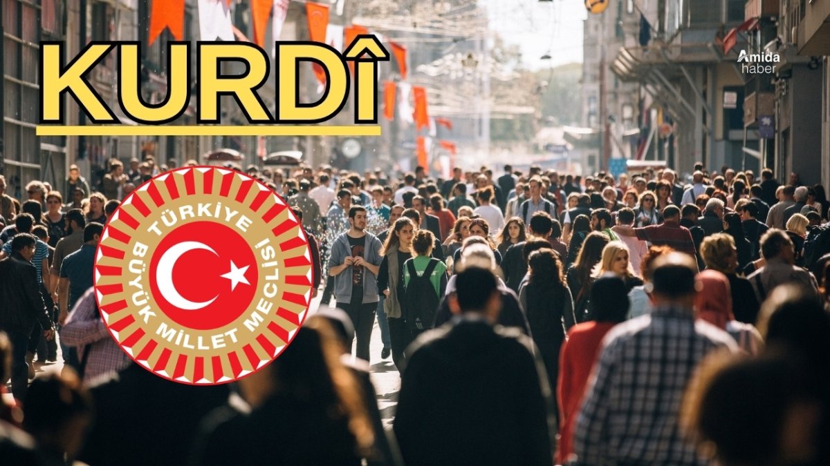 Ji DEM Partiyê pirsnameyek ji bo xizmetên Zimanê Kurdî