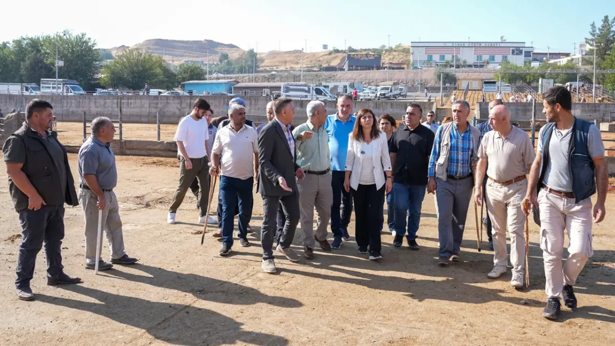 Cihê nû yê Bazara Heywanan a Amedê hat eşkerekirin