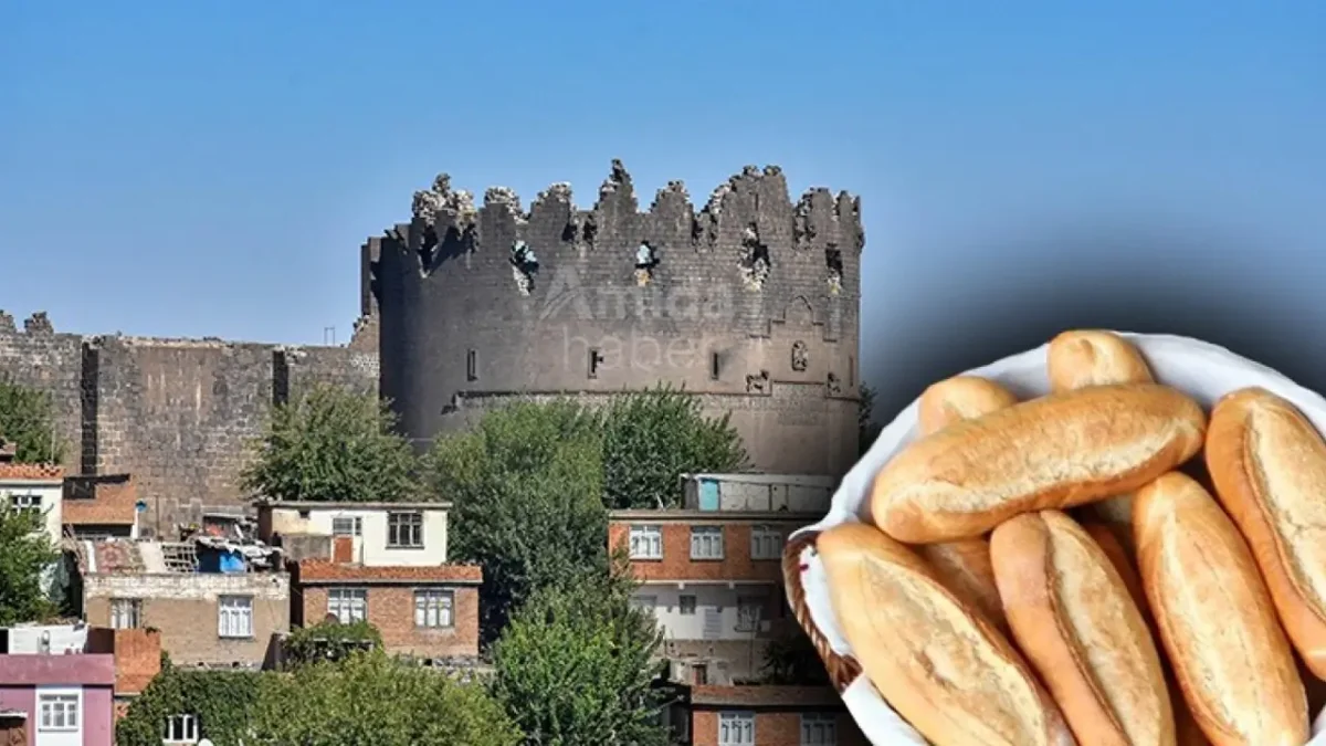 Li Amedê ‘Firina Nanê Gel’ vedibe